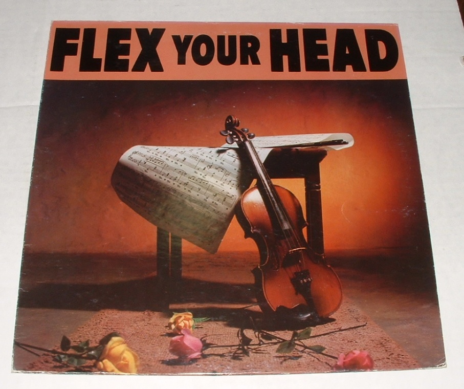 FLEX YOUR HEAD LP 1982 DISCHORD RECORDS 7 (1st Press Violan Cover, No